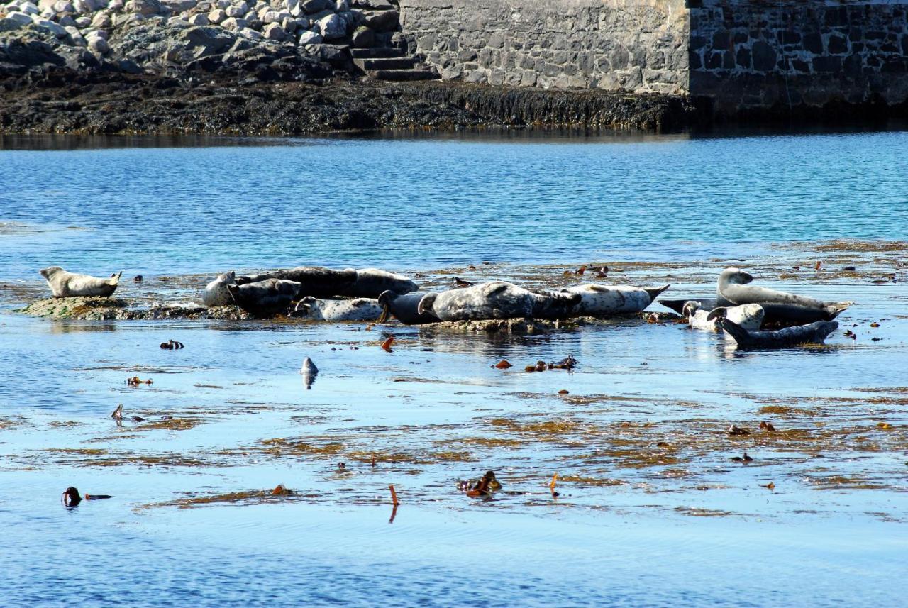 Bed and Breakfast Orsay House Portnahaven Esterno foto